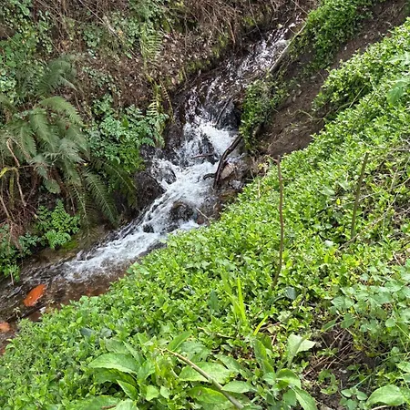 Con Chimenea Y Vistas Al Lago, Ideal Desconectar En Invierno 別荘 *